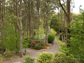 Mount Lofty Botanic Garden - Tourism Cairns 0