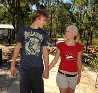 Crooked Brook Forest - Tourism Cairns