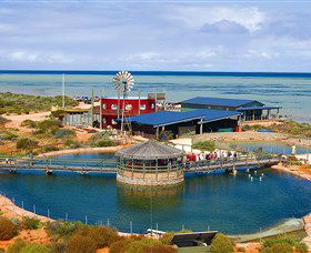 Shark Bay WA Tourism Cairns