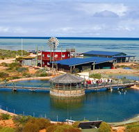 Ocean Park Aquarium - Tourism Cairns