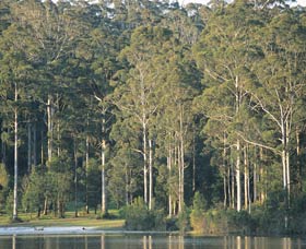 Big Brook Dam - Tourism Cairns 0