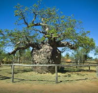 Pigeon Heritage Trail - Tourism Cairns