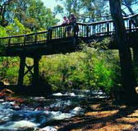 Barrabup Pool - Tourism Cairns