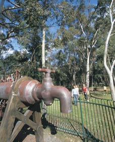 Mundaring Community Sculpture Park - Tourism Cairns 0