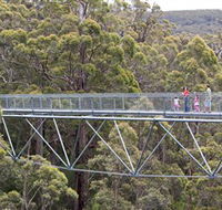 Walpole Wilderness Discovery Centre - Tourism Cairns