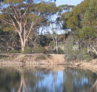 Merredin Railway Dam - Tourism Cairns