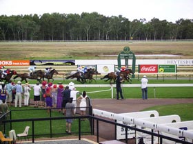 Pinjarra Race Club - Tourism Cairns 0