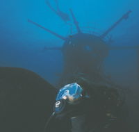 Swan Dive Wreck - Tourism Cairns