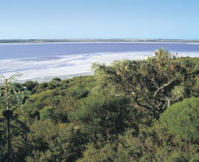 Pink Lake - Tourism Cairns 0