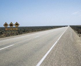 Eyre Highway - Tourism Cairns 0