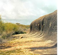 Totadgin Dam Reserve - Tourism Cairns
