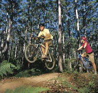 Leeuwin-Naturaliste National Park - Cowaramup - Tourism Cairns