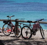 Parker Point Marine Snorkel Trail - Tourism Cairns