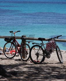 Parker Point Marine Snorkel Trail - Tourism Cairns 0