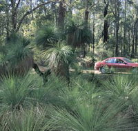 Bridgetown Jarrah Park - Tourism Cairns