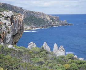 Point D'Entrecasteaux - Tourism Cairns 0