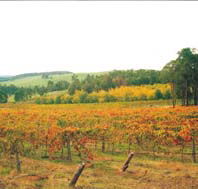 Byramgou Park - Tourism Cairns