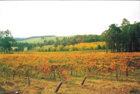 Byramgou Park - Tourism Cairns 0