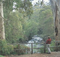 Cascades - Tourism Cairns