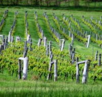 Sienna Estate Winery - Tourism Cairns
