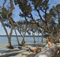 Stokes National Park - Tourism Cairns