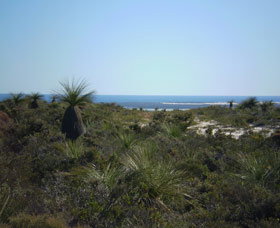 Lesueur National Park - Tourism Cairns 0
