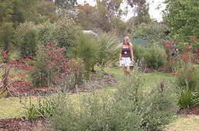 The Mythic Mazes - Tourism Cairns 0