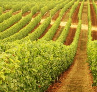 Xanadu Wines - Tourism Cairns