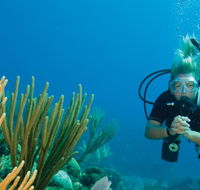 Coastal Water Dive - Tourism Cairns