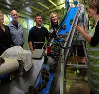 Eyre Peninsula's Seafood Trail - Tourism Cairns