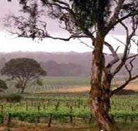 Yangarra Estate Vineyard - Tourism Cairns