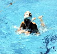 Mount Gambier Aquatic Centre - Tourism Cairns
