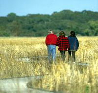 Onkaparinga River Recreation Park - Tourism Cairns