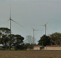 Wattle Point Wind Farm - Tourism Cairns