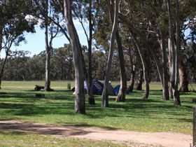 Stewart Range SA Tourism Cairns