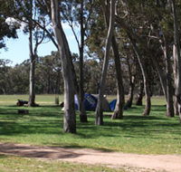 Black Cockatoo Bush Camp - Tourism Cairns