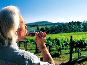Ashton Hills Vineyard - Tourism Cairns 0