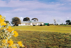 Lucindale Country Club - Tourism Cairns 0