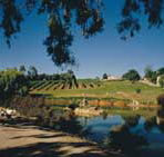 Mount Hurtle Winery home of Geoff Merrill Wines - Tourism Cairns