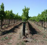 Temple Bruer Winery - Tourism Cairns