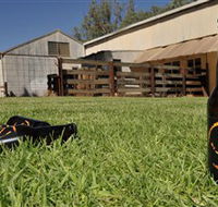 Wilkadene Woolshed Brewery - Tourism Cairns