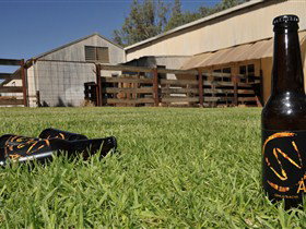 Wilkadene, Woolshed Brewery - Tourism Cairns 0