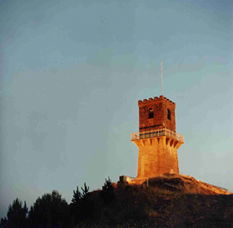 Centenary Tower - Tourism Cairns 0