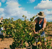 Torbreck Vintners - Tourism Cairns