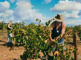 Torbreck Vintners - Tourism Cairns 0