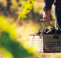 Burge Family Winemakers - Tourism Cairns