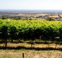 Braydun Hill Vineyard - Tourism Cairns