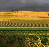 Kellermeister Wines - Tourism Cairns
