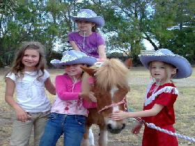 Amberainbow Pony Rides - Tourism Cairns 0