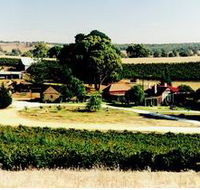 Irvine Wines - Tourism Cairns